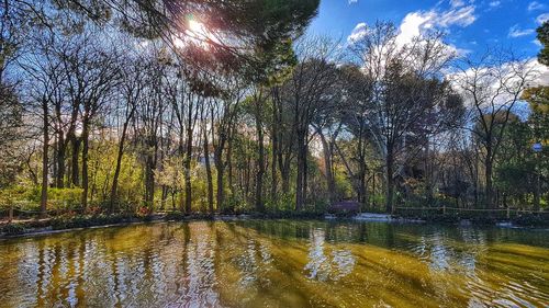 Scenic view of lake in forest against sky