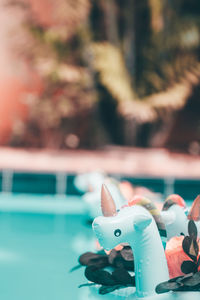 Close-up of toy on swimming pool