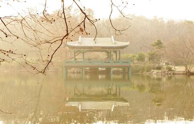 Reflection of trees in water