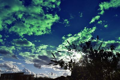 Low angle view of trees against sky