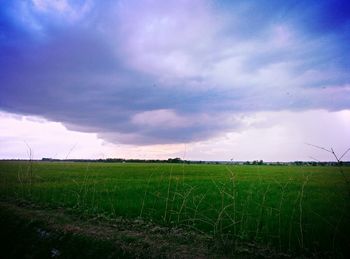 Scenic view of grassy field against cloudy sky