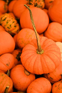 High angle view of pumpkins for sale at market stall