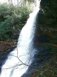 View of waterfall in forest