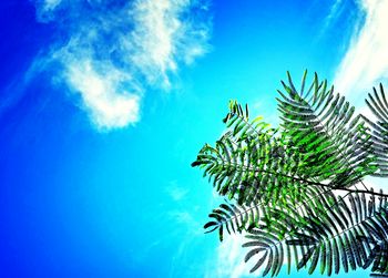 Low angle view of trees against blue sky