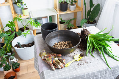 High angle view of food on table