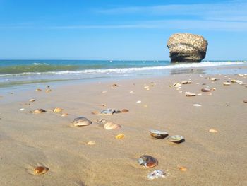 Rocks on beach against sky