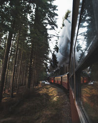 Train at forest