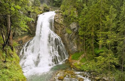 View of waterfall in forest