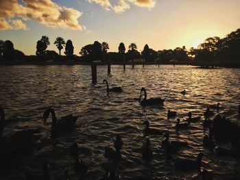 Silhouette people on shore against sky during sunset