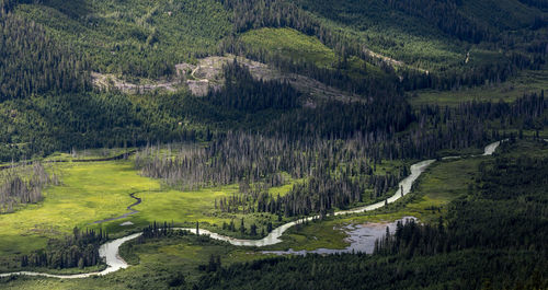 Curvy river flowing near forest in green valley near mountain slope in highlands of british columbia, canada