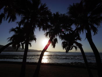 Silhouette palm trees on beach against sky during sunset