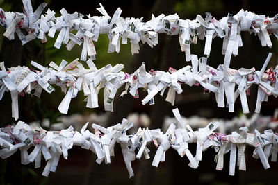 A collection of sheets of paper suspended on a string line wishing ribbon in japan