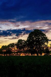 Silhouette trees on field against sky at sunset