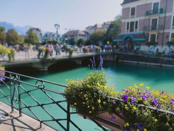 View of bridge over river in city