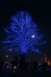 Firework display at night