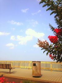 Trees against sky