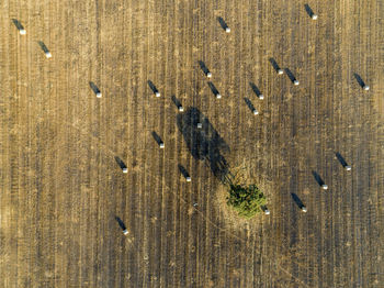 Aerial view of landscape