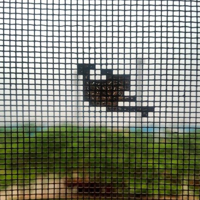 full frame, backgrounds, pattern, metal, fence, protection, chainlink fence, safety, security, metallic, metal grate, close-up, indoors, focus on foreground, textured, no people, day, window, design