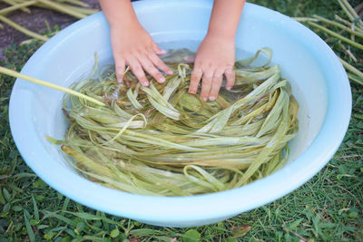 Ingredients for miyako kamifu made using traditional methods fiber is taken from ramie, a plant 