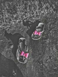 High angle view of pink shoes