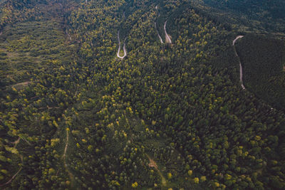 High angle view of landscape