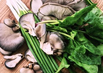 Mushrooms with scallions and spinach on table