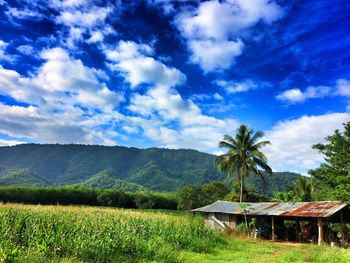 Scenic view of landscape against cloudy sky