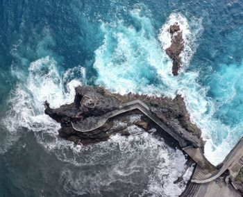 High angle view of turtle in sea