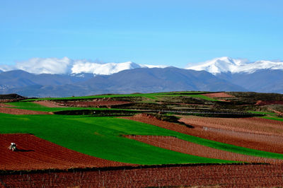 Scenic view of field and mountains against sky