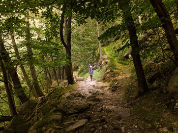 Rear view of man walking in forest