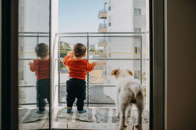 Rear view of boy standing in balcony with dog