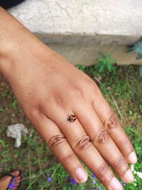 Close-up of woman hand on field