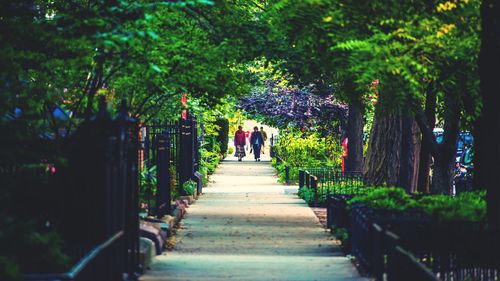 People walking on footpath