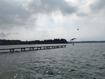 Seagulls flying over sea against sky