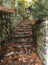 Stone wall by footpath in forest