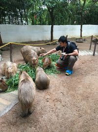 Full length of man feeding on tree