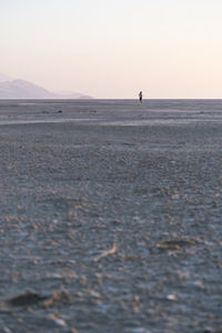 Distant view of woman running on sand at beach against clear sky during sunset