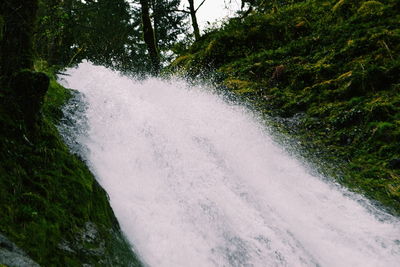 Scenic view of waterfall