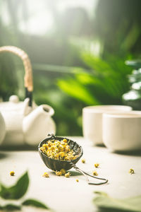 Close-up of food on table