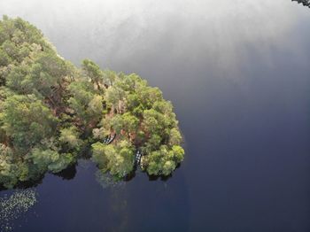 High angle view of trees by lake