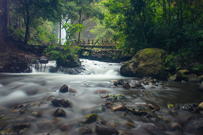 Scenic view of waterfall in forest