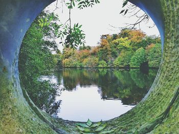 Reflection of trees in lake against clear sky