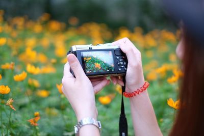 Close-up of woman photographing flowers