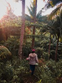 Rear view of man standing on palm trees