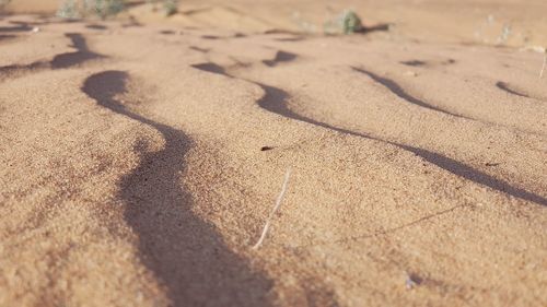 High angle view of shadow on sand