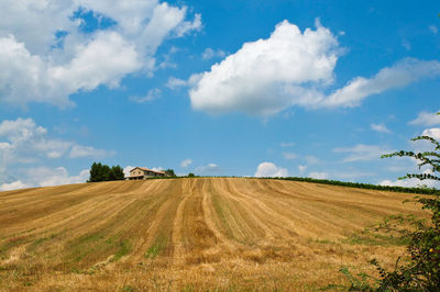 Scenic view of agricultural field against sky