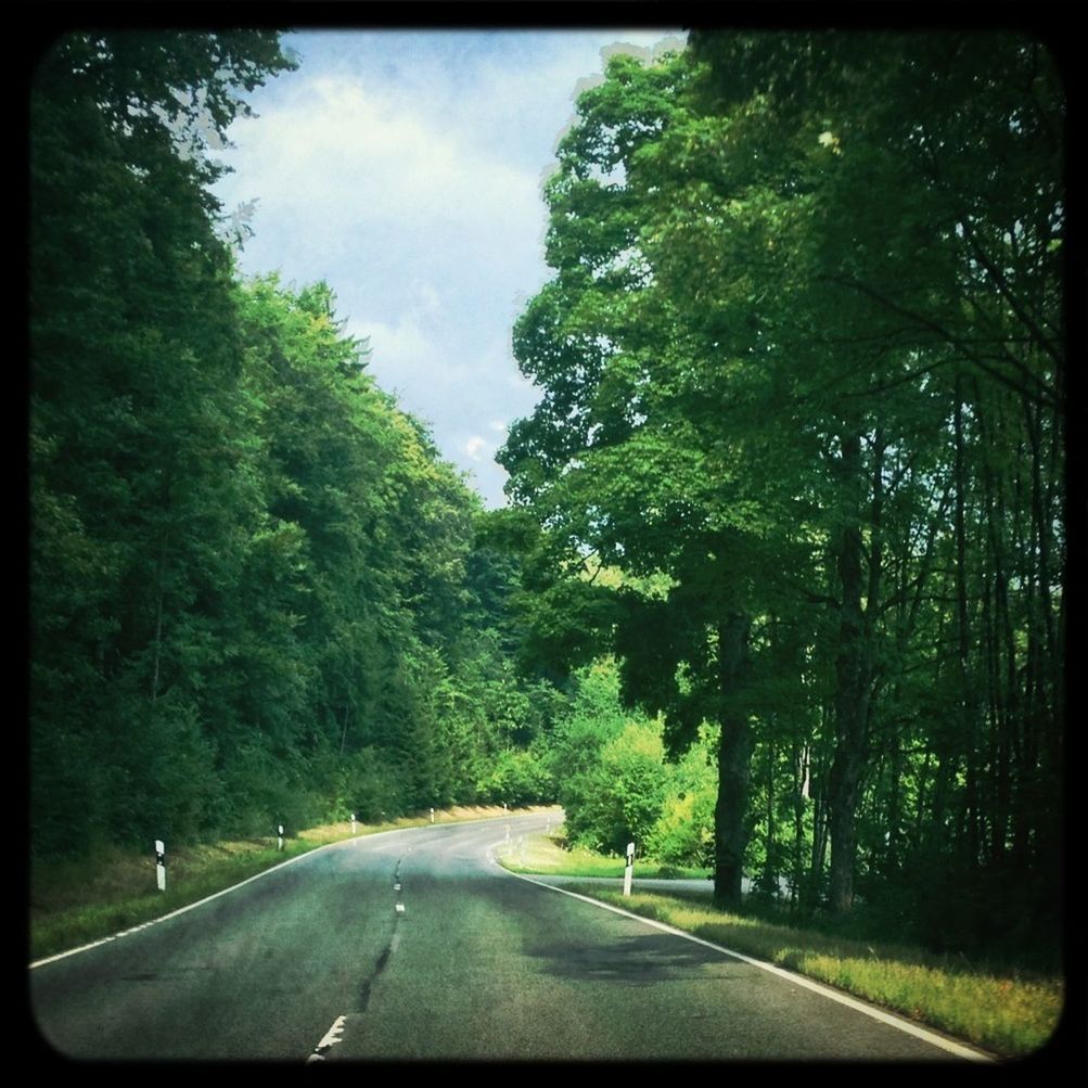 tree, the way forward, transfer print, road, transportation, sky, road marking, diminishing perspective, auto post production filter, growth, green color, vanishing point, tranquility, street, country road, nature, cloud - sky, sunlight, tranquil scene, day