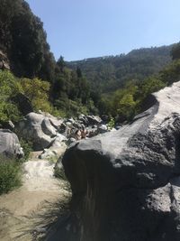 Stream flowing through rocks in forest against sky