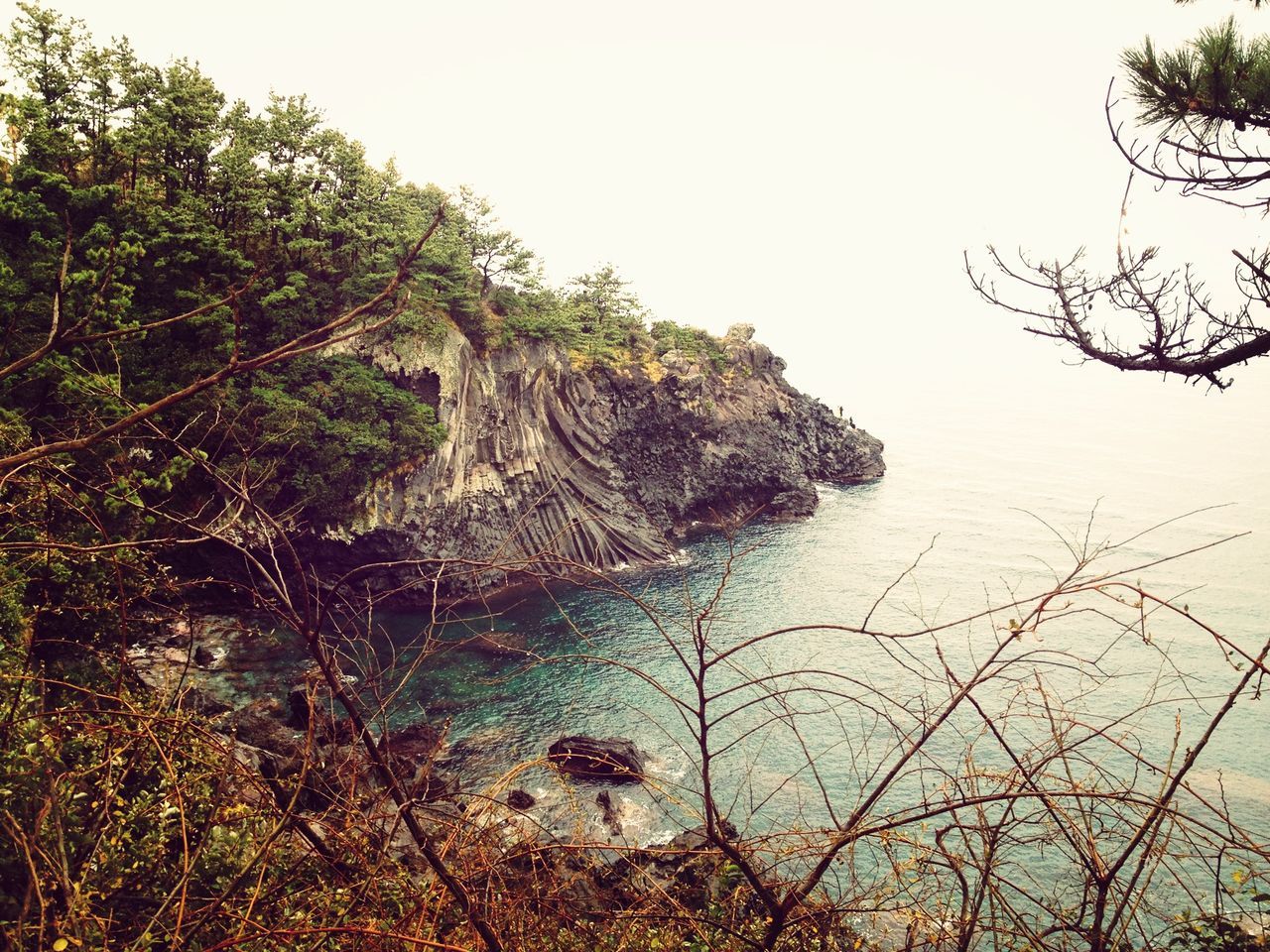 tree, tranquility, clear sky, nature, tranquil scene, beauty in nature, scenics, rock - object, branch, growth, water, sky, rock formation, day, forest, non-urban scene, outdoors, no people, plant, idyllic