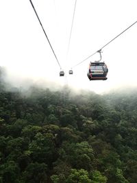 Low angle view of overhead cable car against sky in forest